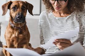3. Is Pet Insurance Worth the Investment? 